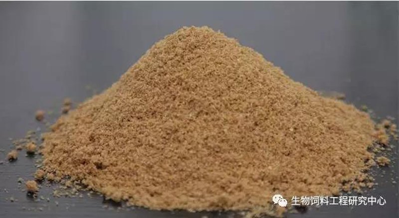 鱼粉市场行情如何?最新价格变动有哪些值得关注的点?
