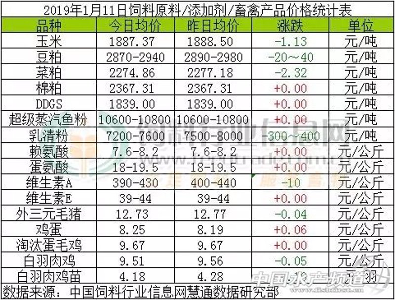 恩阳鱼粉:一碗鲜美的故事