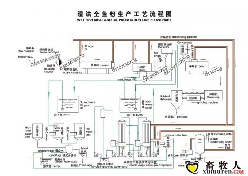 鱼粉价格上涨,这背后藏着哪些秘密?
